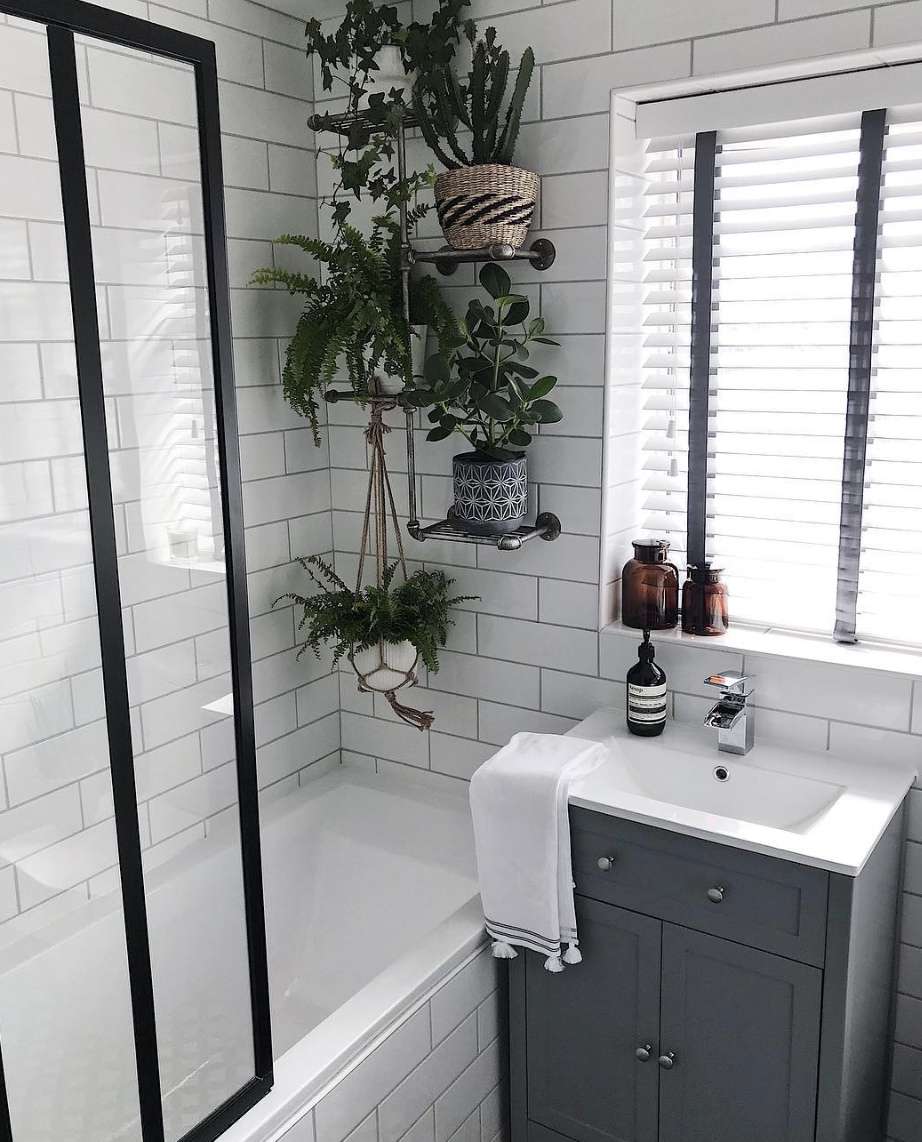 Salle de bain avec douche pleine de plantes