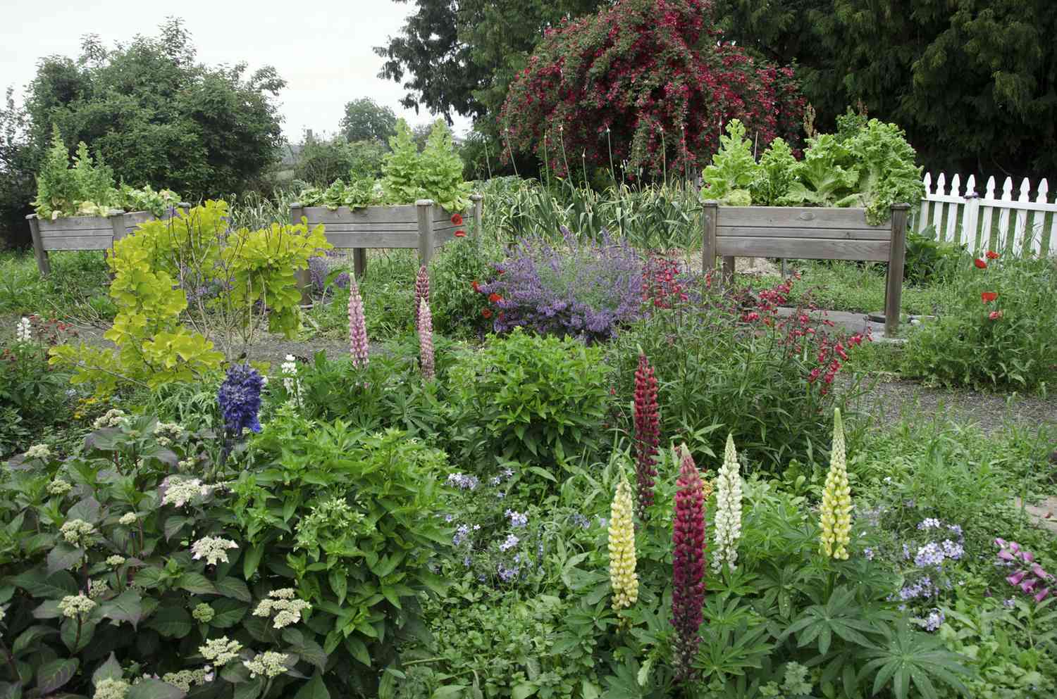 High Raised Beds