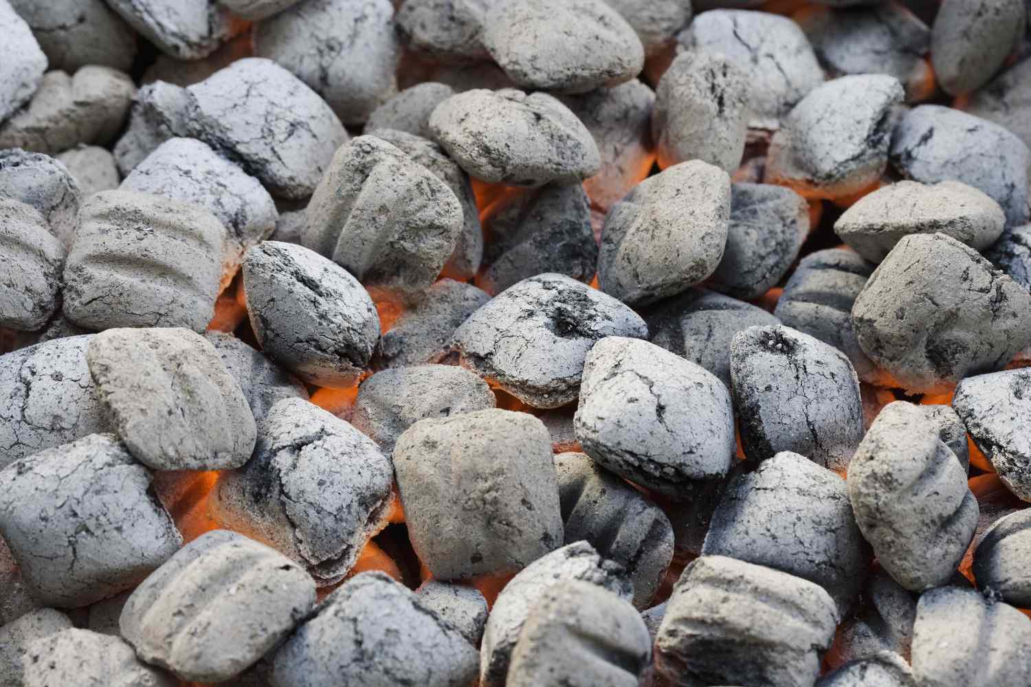 briquetes de carvão vegetal