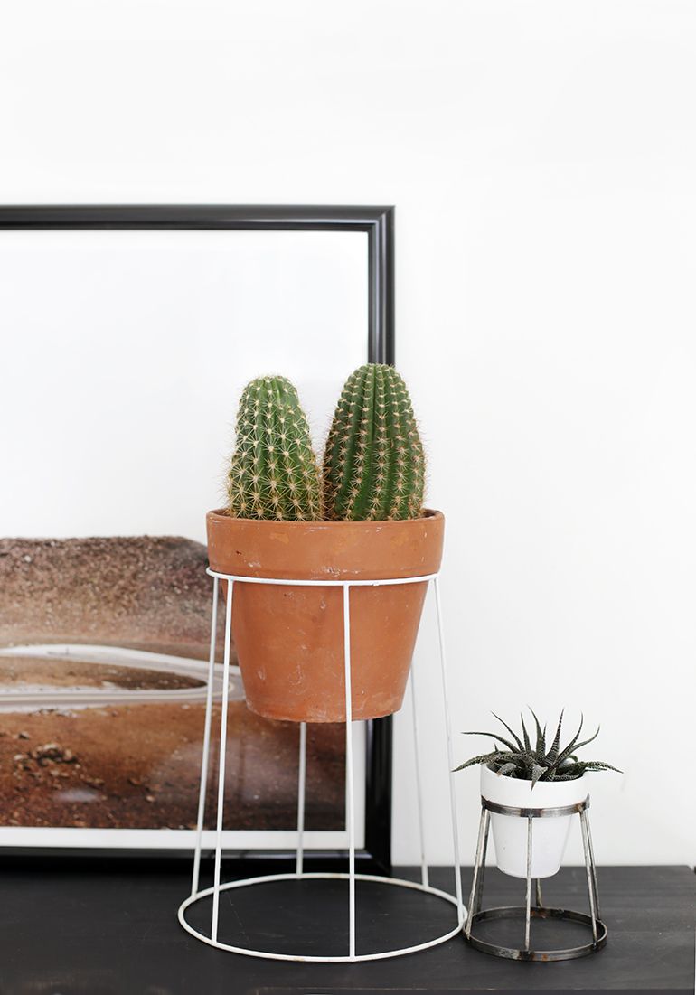 A white wire stand holding a potted cactus.