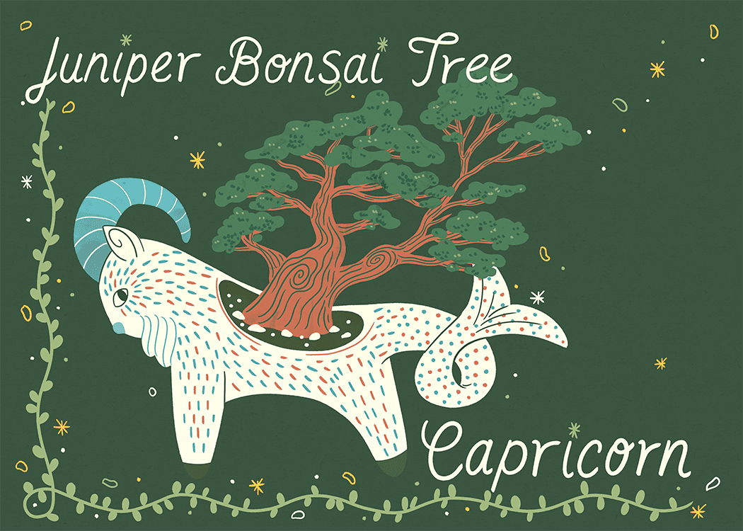 ilustración de un bonsái de enebro