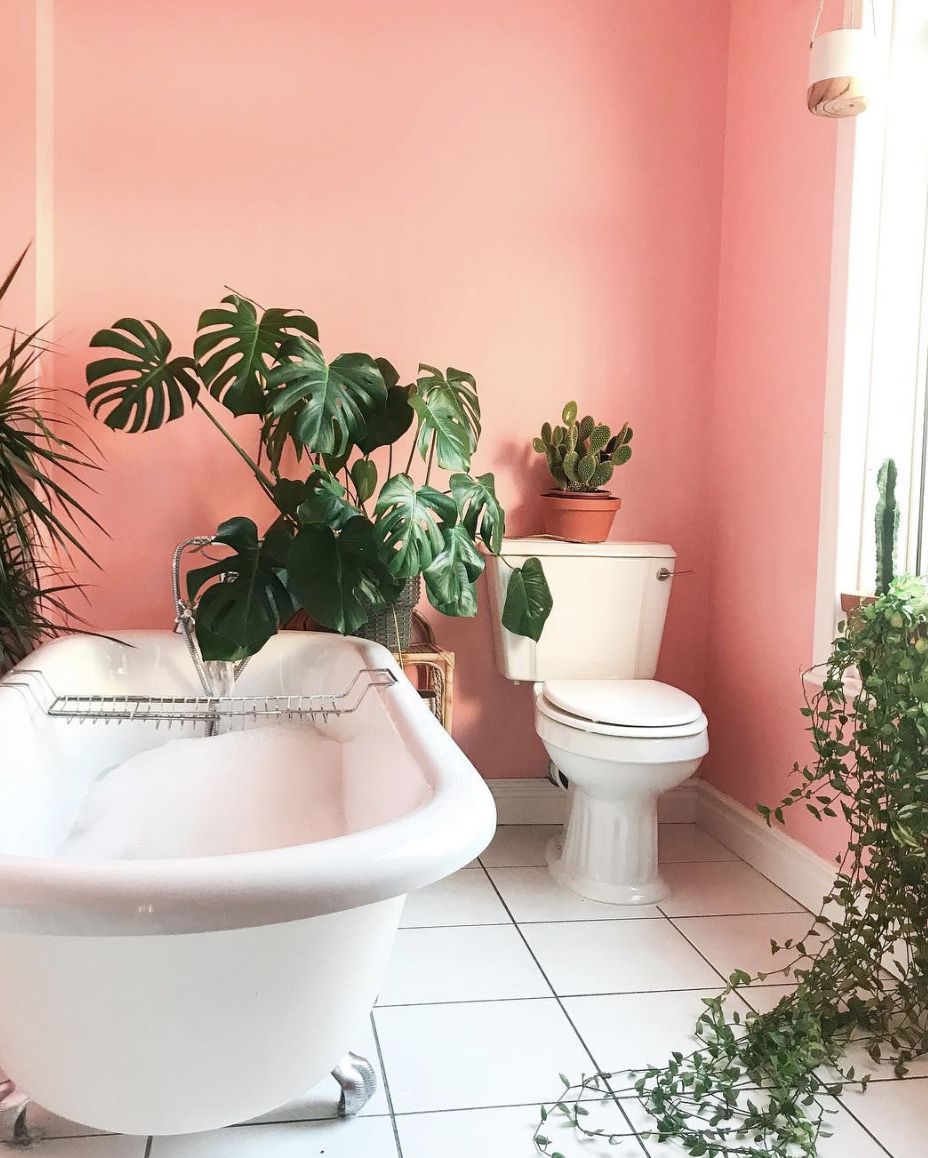 salle de bain rose avec plantes