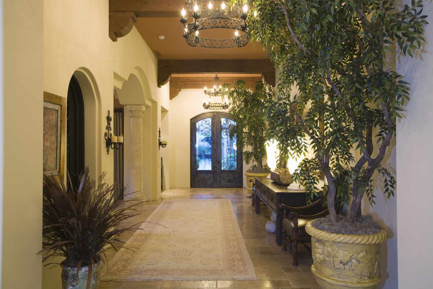 ein Foyer mit einer großen Zimmerpflanze und einem Baum