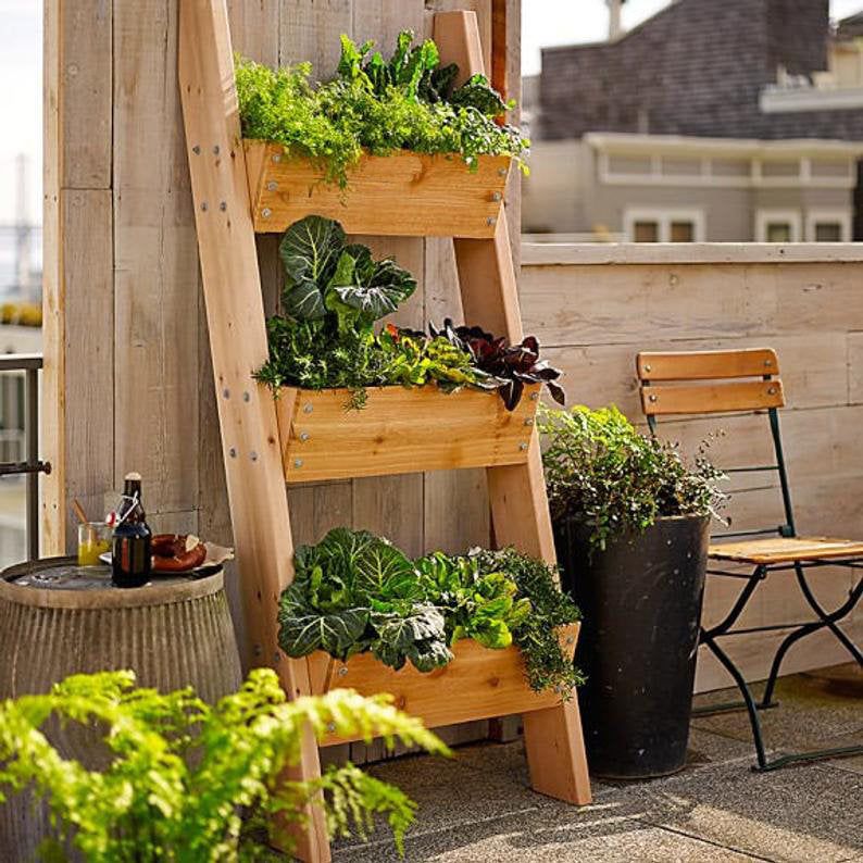 vertikaler Garten auf Terrasse