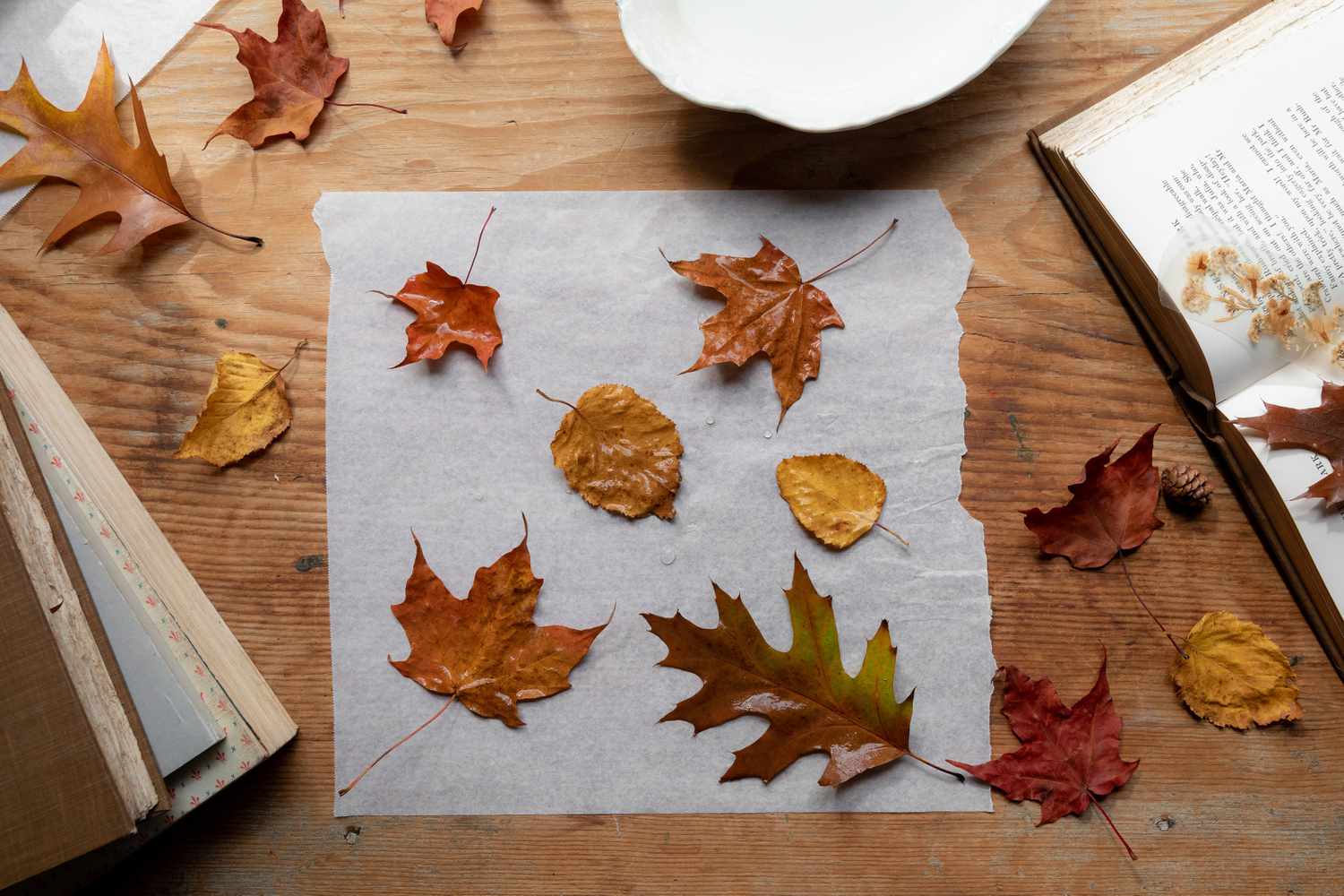 Braune und tiefgelbe Herbstblätter auf Wachspapier zum Verzieren