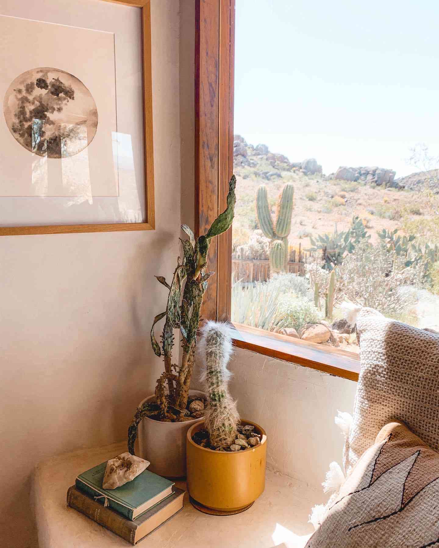 Windows at The Joshua Tree House