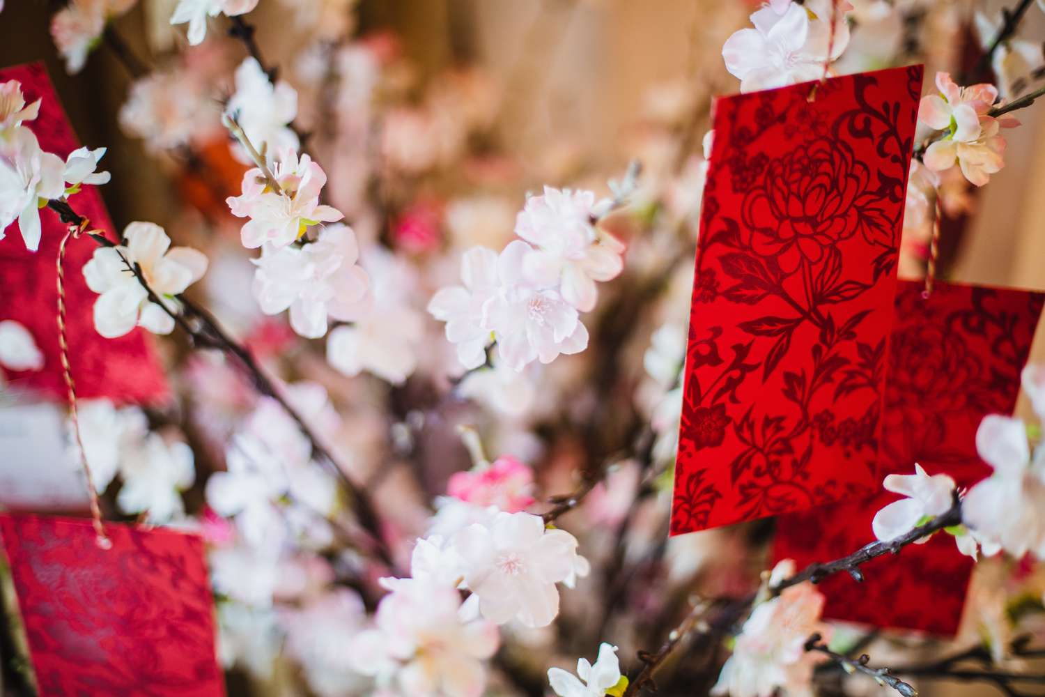 Chinesisches Neujahrsfest - roter Umschlag hängt am Kirschblütenbaum