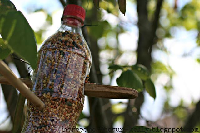 Water bottle bird feeder