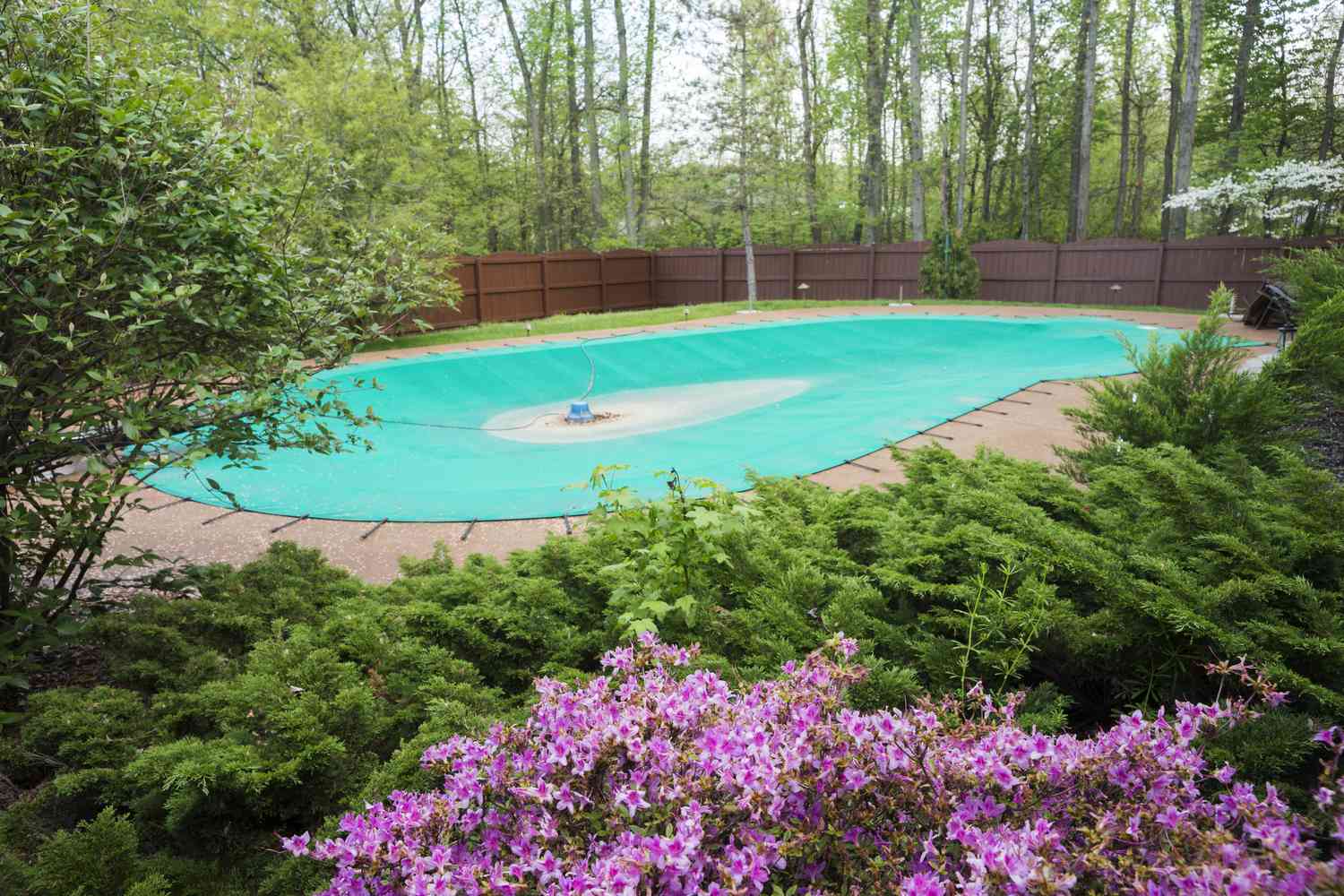 Frühling mit Blumen um den Swimmingpool