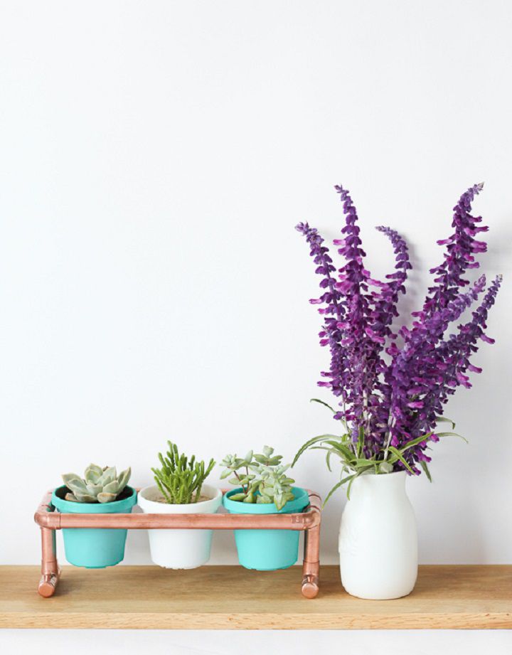 Three potted succulents in a copper pipe stand.