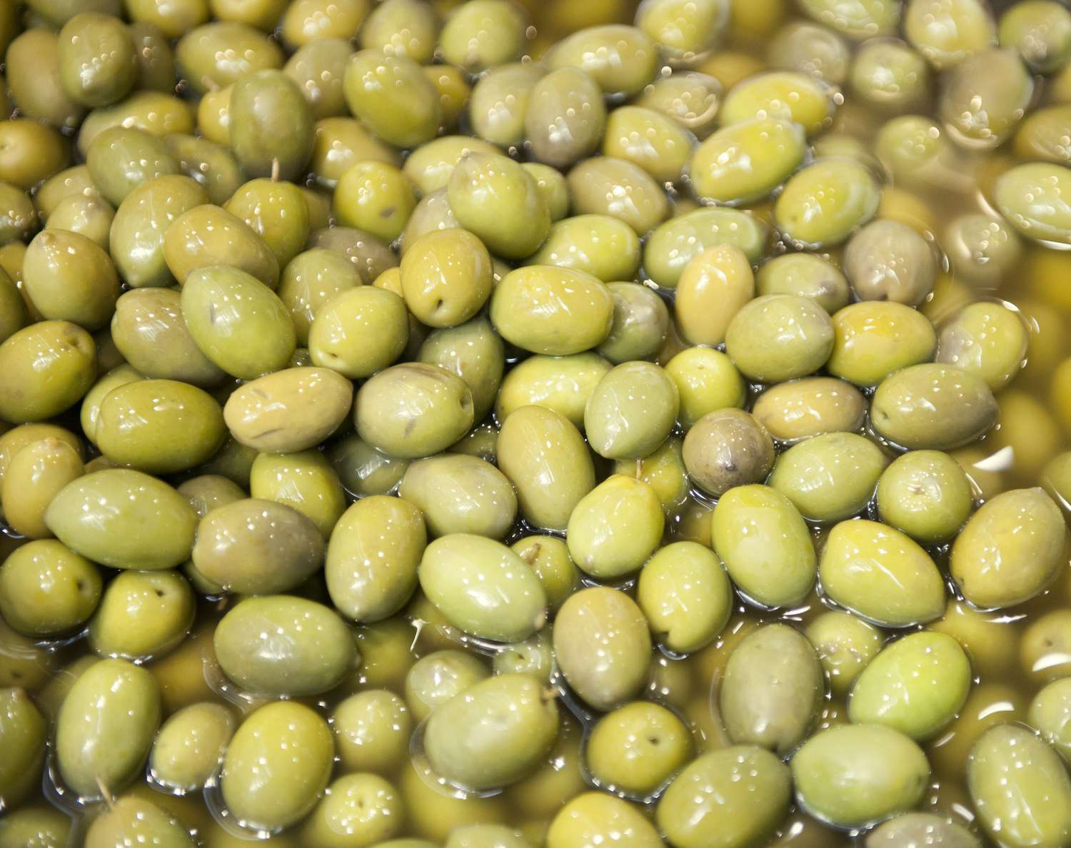 In Salzlake eingelegte Picholine-Oliven