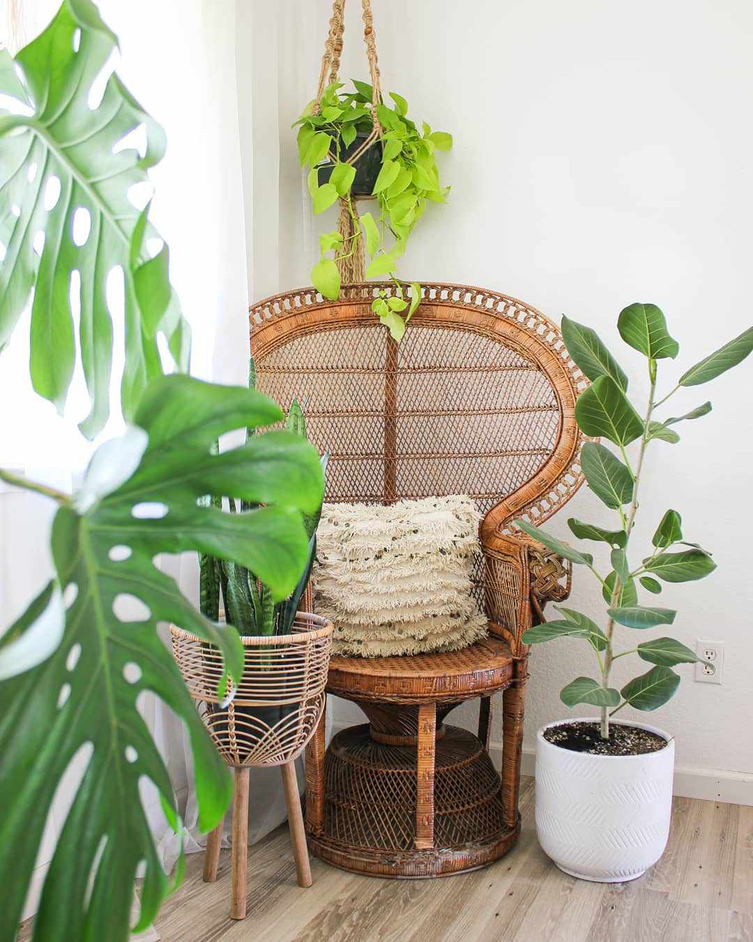 boho plant nook