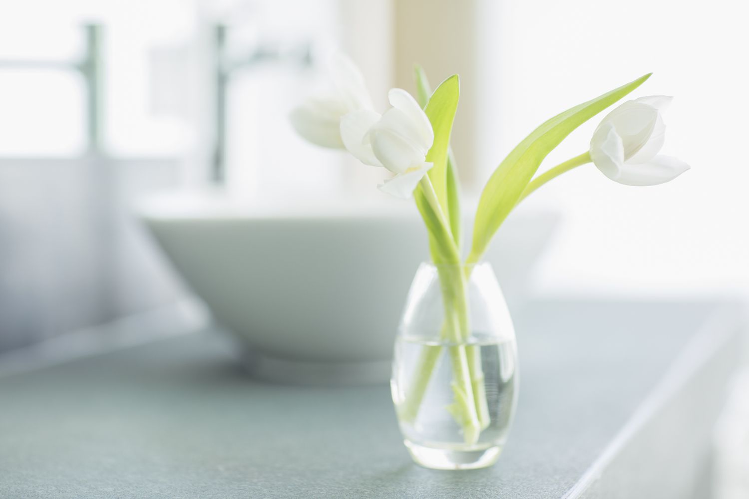 weiße Tulpen in einer Knospenvase im Badezimmer