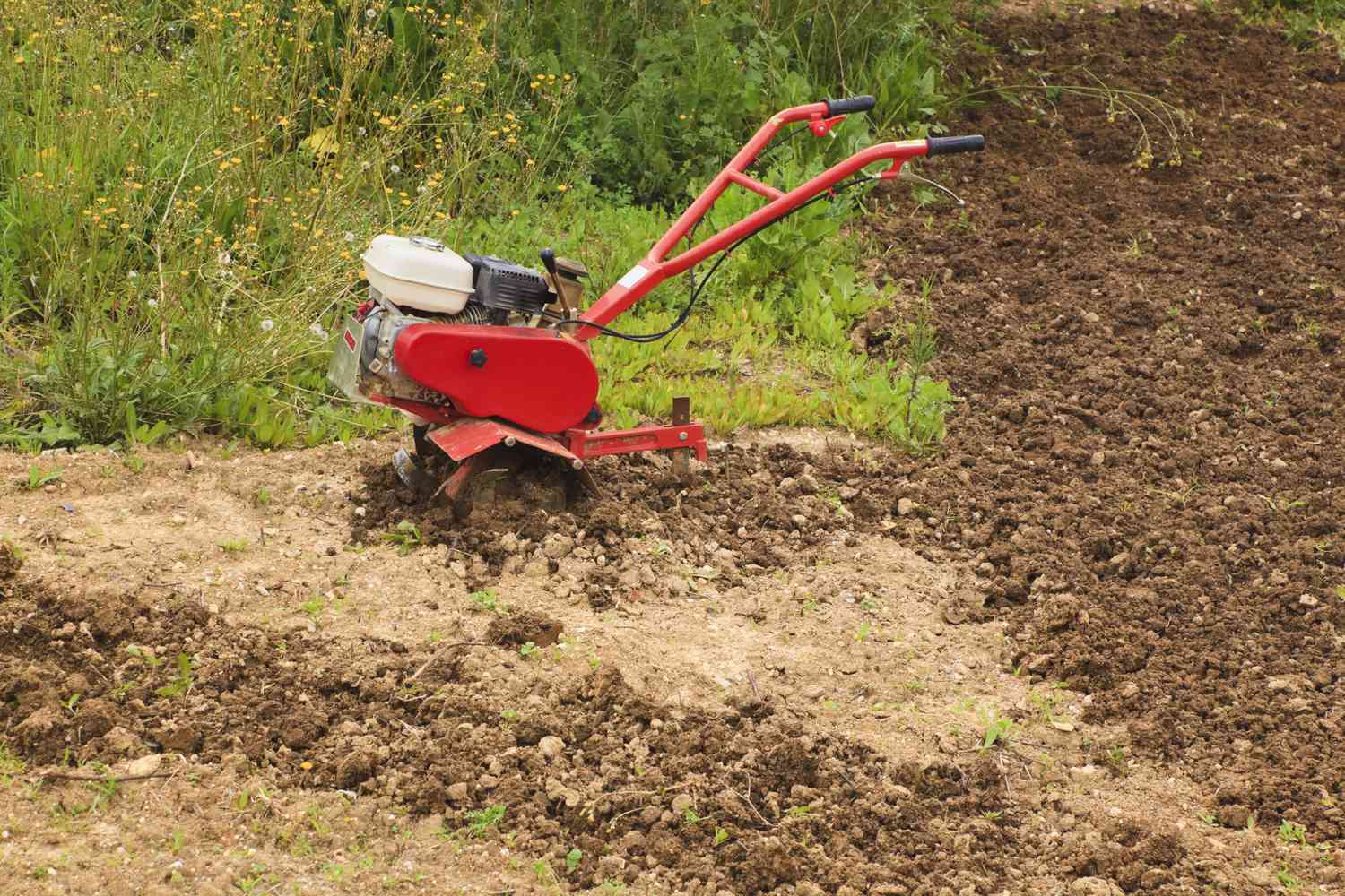 Petit motoculteur de jardin cultivant la terre.