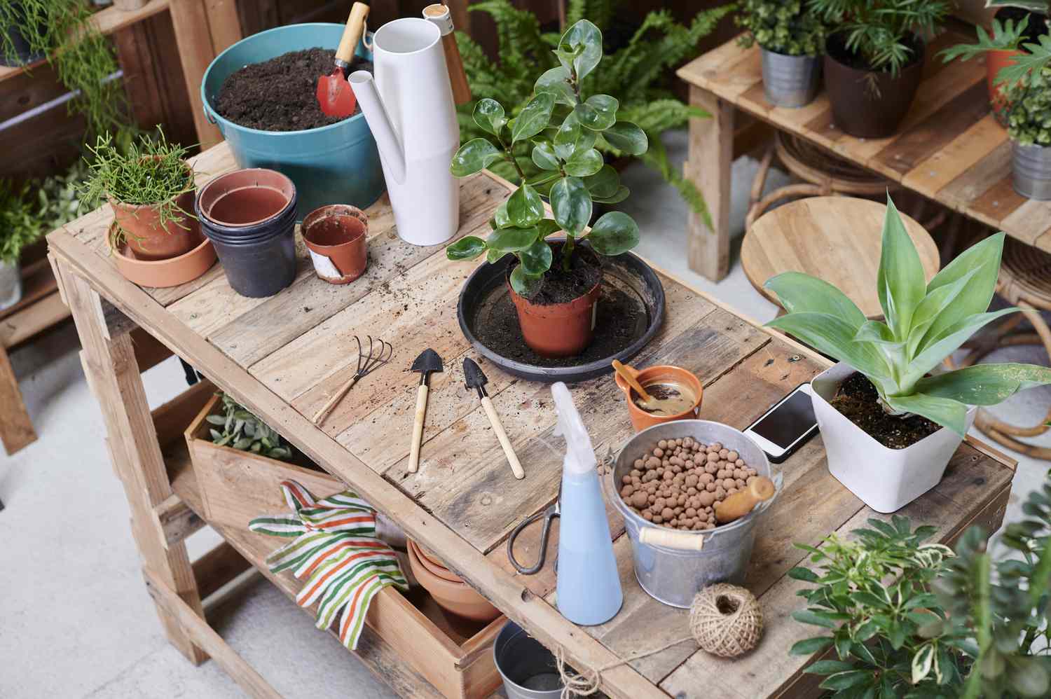 banc de jardinage avec outils et plantes