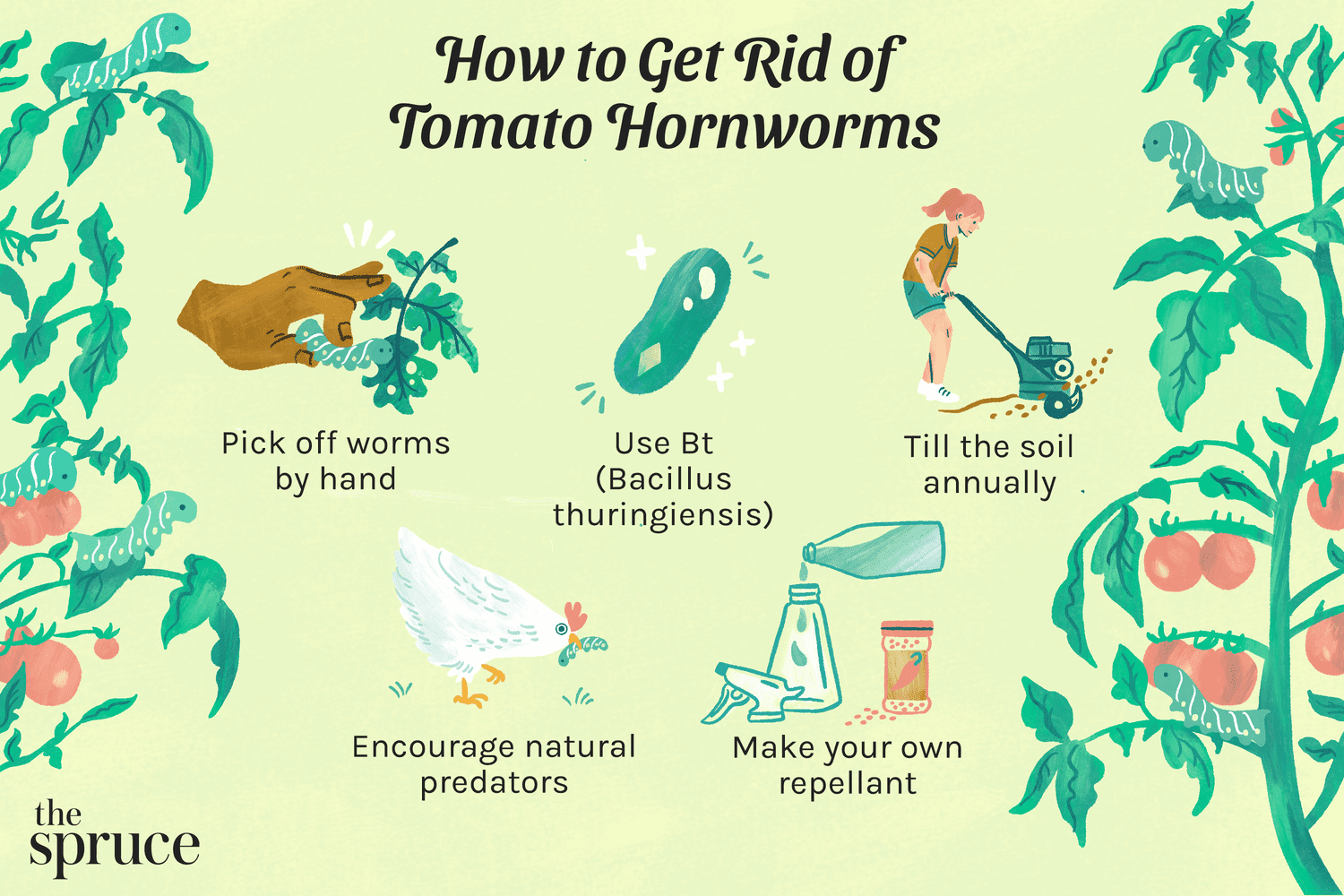 Cómo deshacerse de los gusanos del tomate