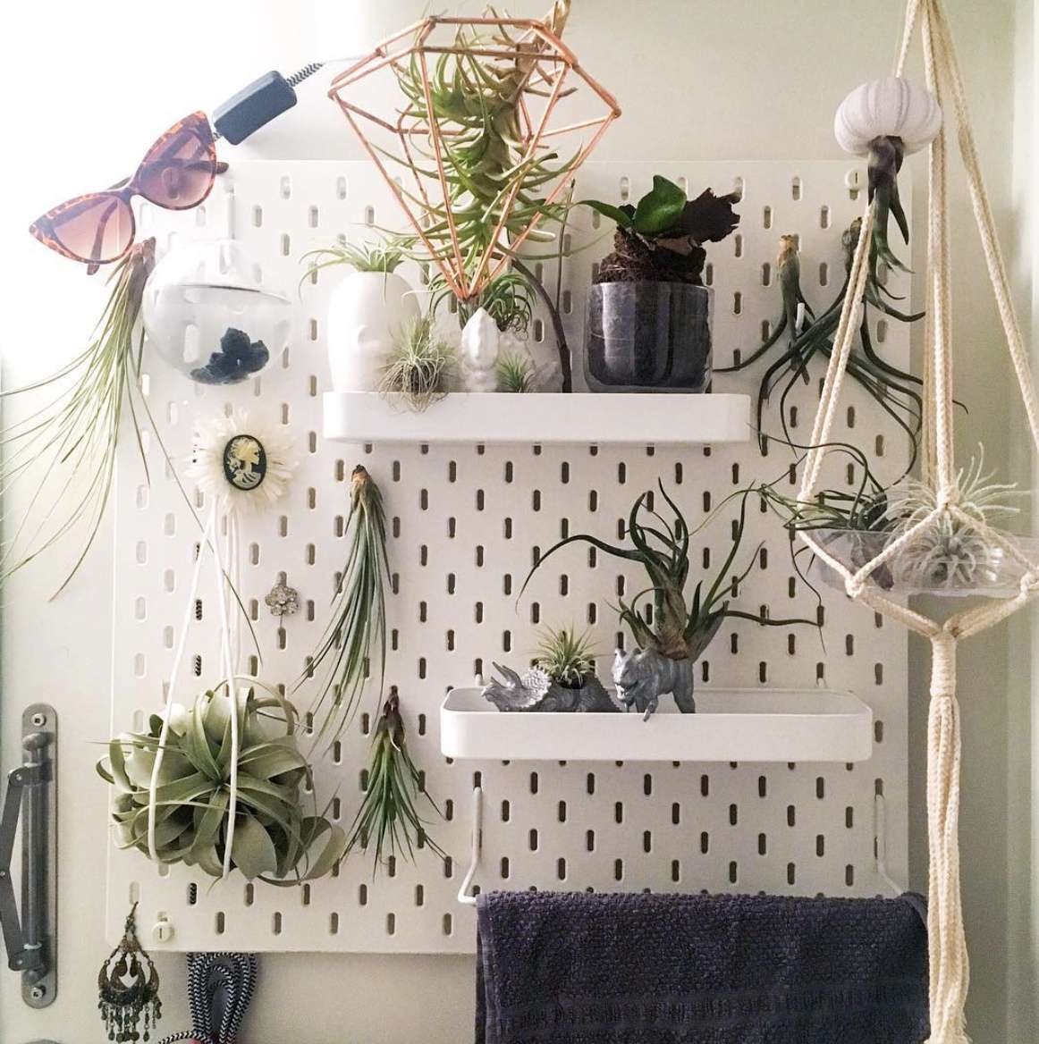 pegboard with plants attached to it