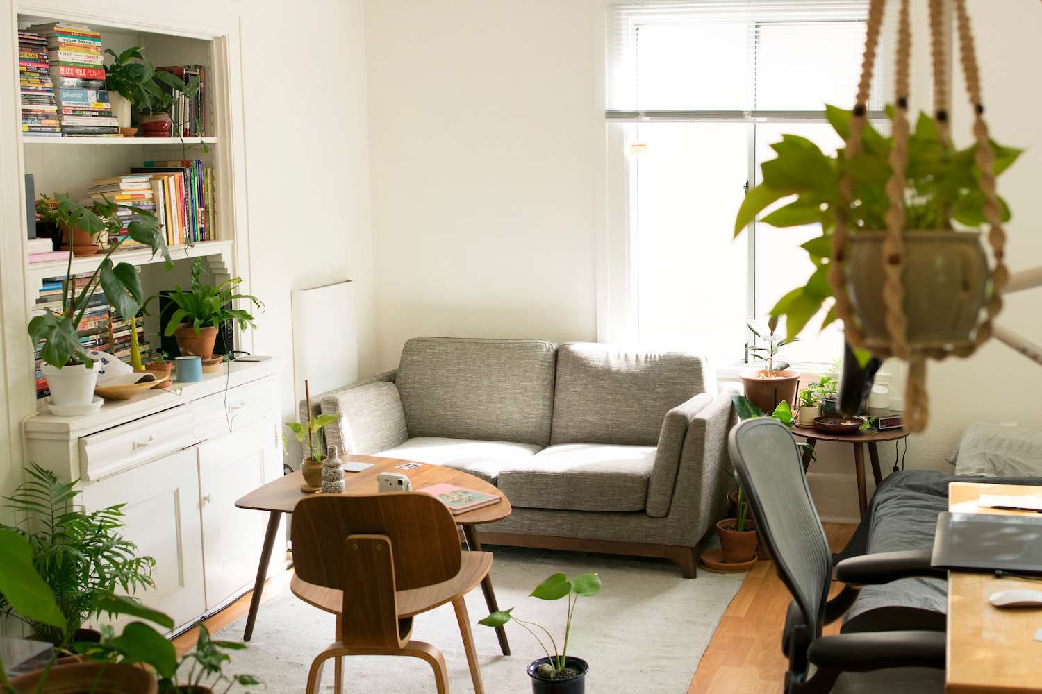 apartamento limpio con plantas