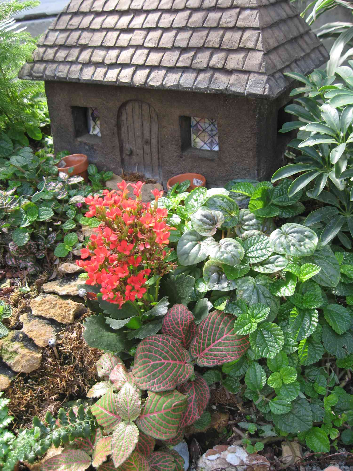 Fairy Garden House