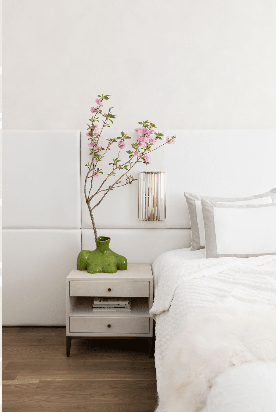 cozy minimalism plant