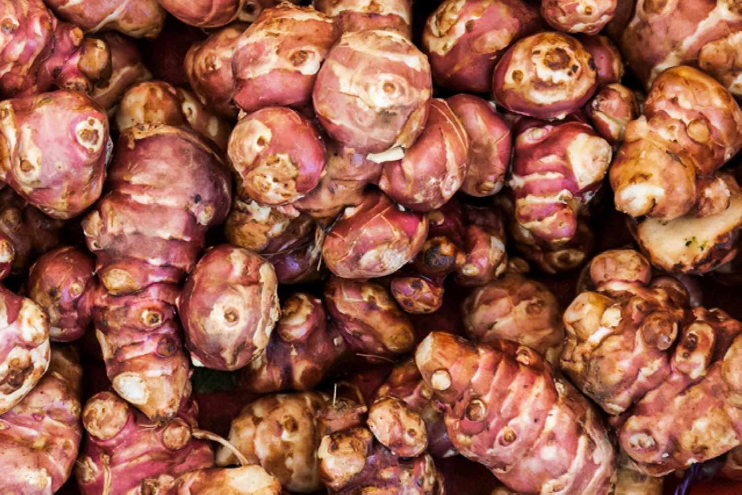 Jerusalem artichokes