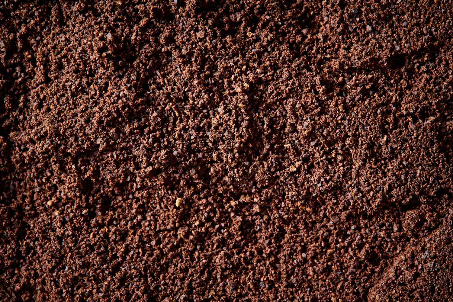 primer plano de la textura de la harina de sangre
