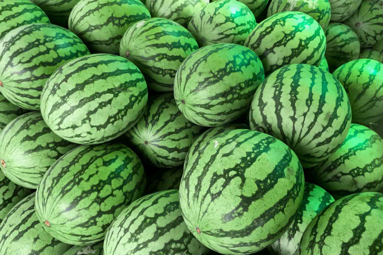 Gelbe Wassermelonen übereinander gestapelt