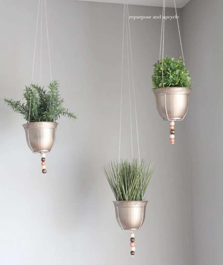 Gold planters hanging from the ceiling