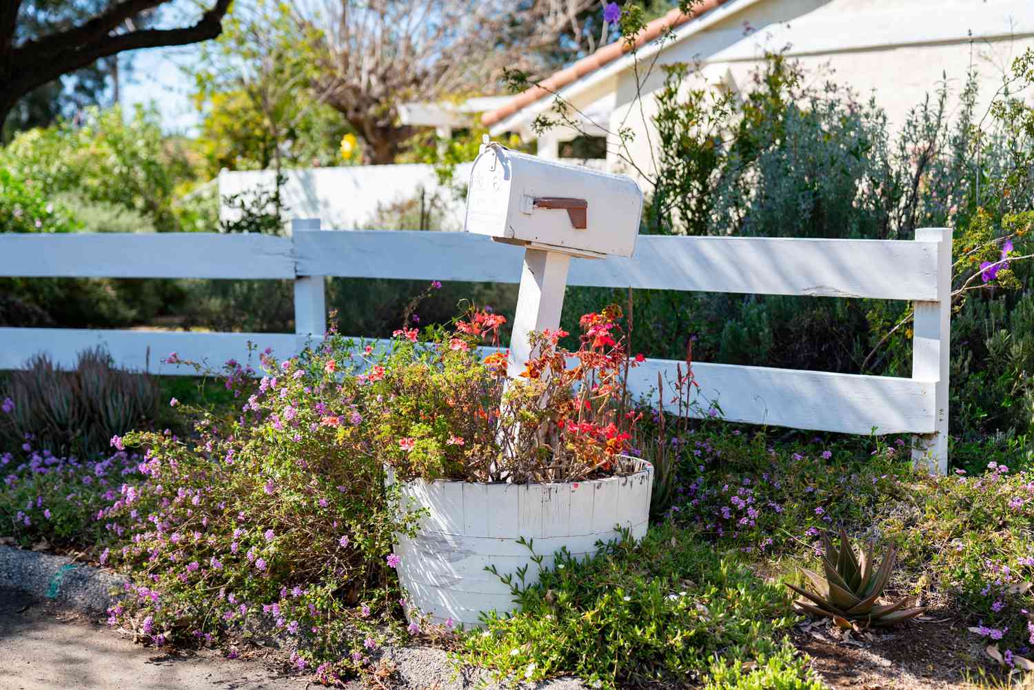 Mailbox surrounded by planted red and purple flowers