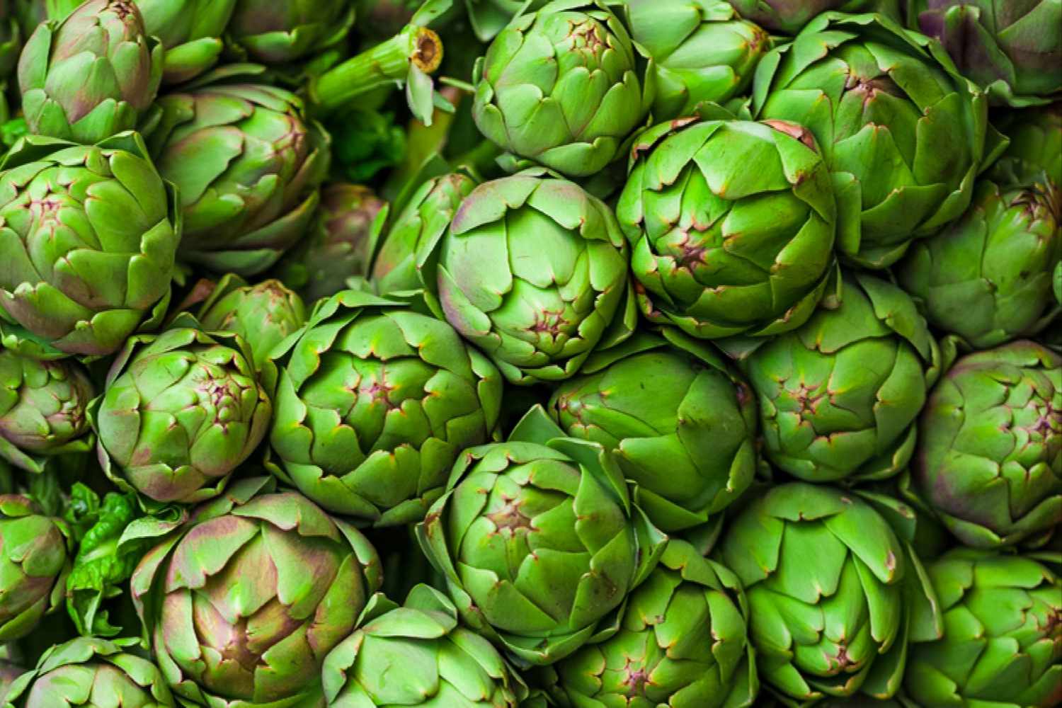 artichokes