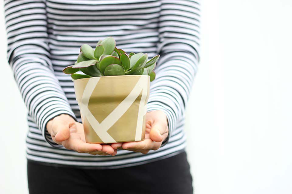 Une femme tenant un pot d'or avec une plante dedans