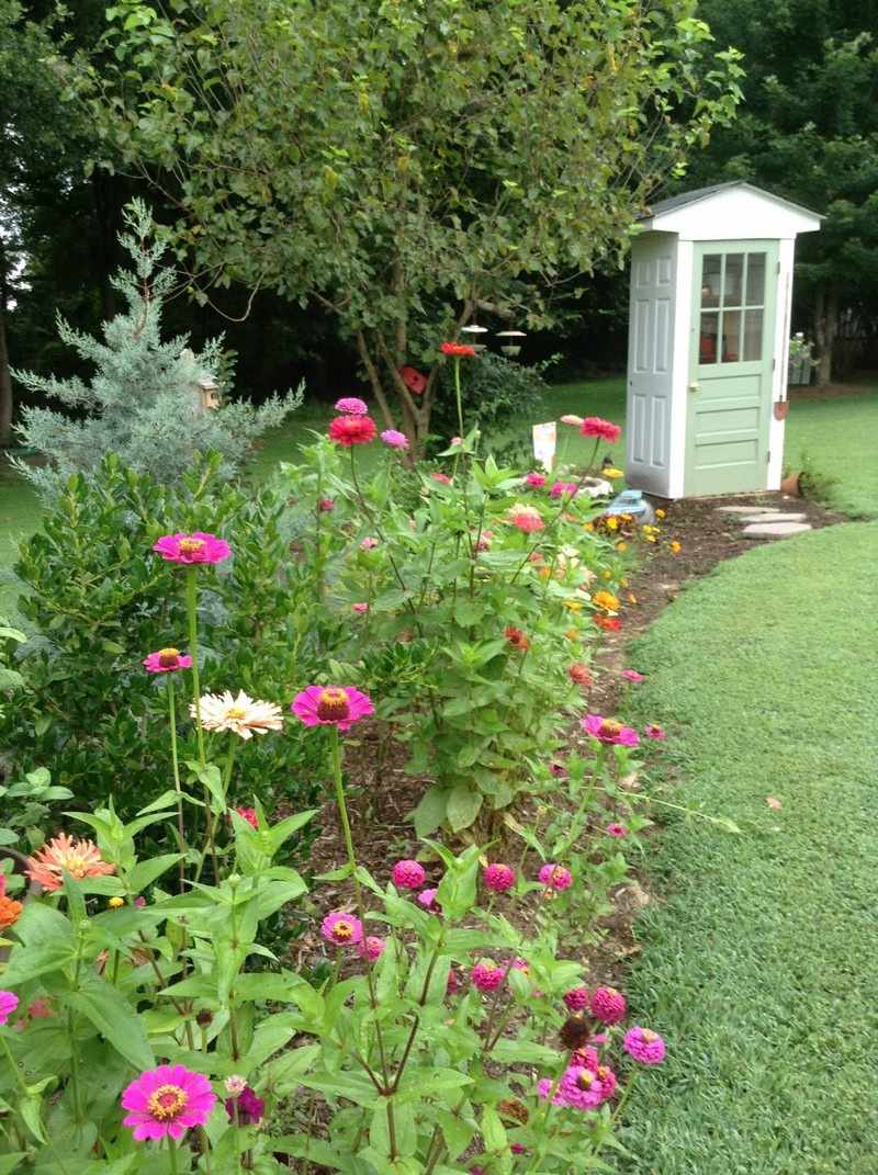 DIY Garden Shed