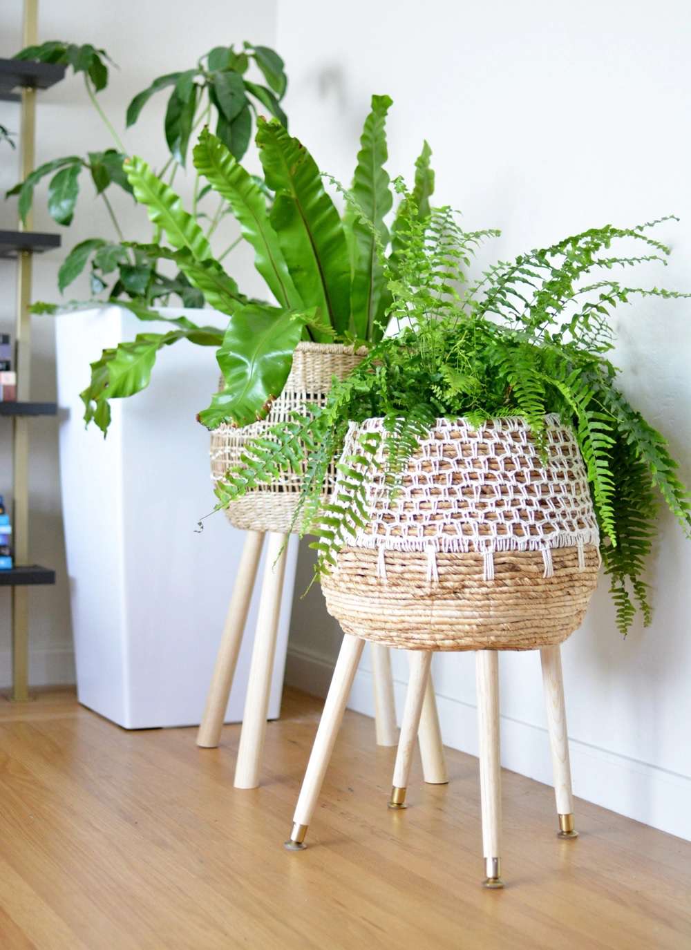 Plants in baskets with legs.
