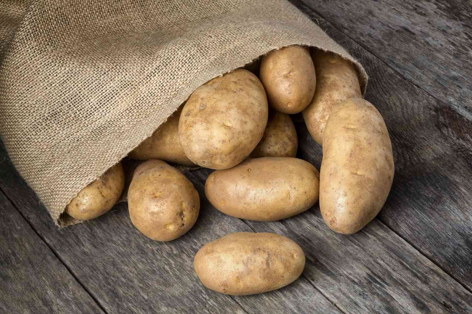 Batatas Russas Derramando do Saco de Serapilheira