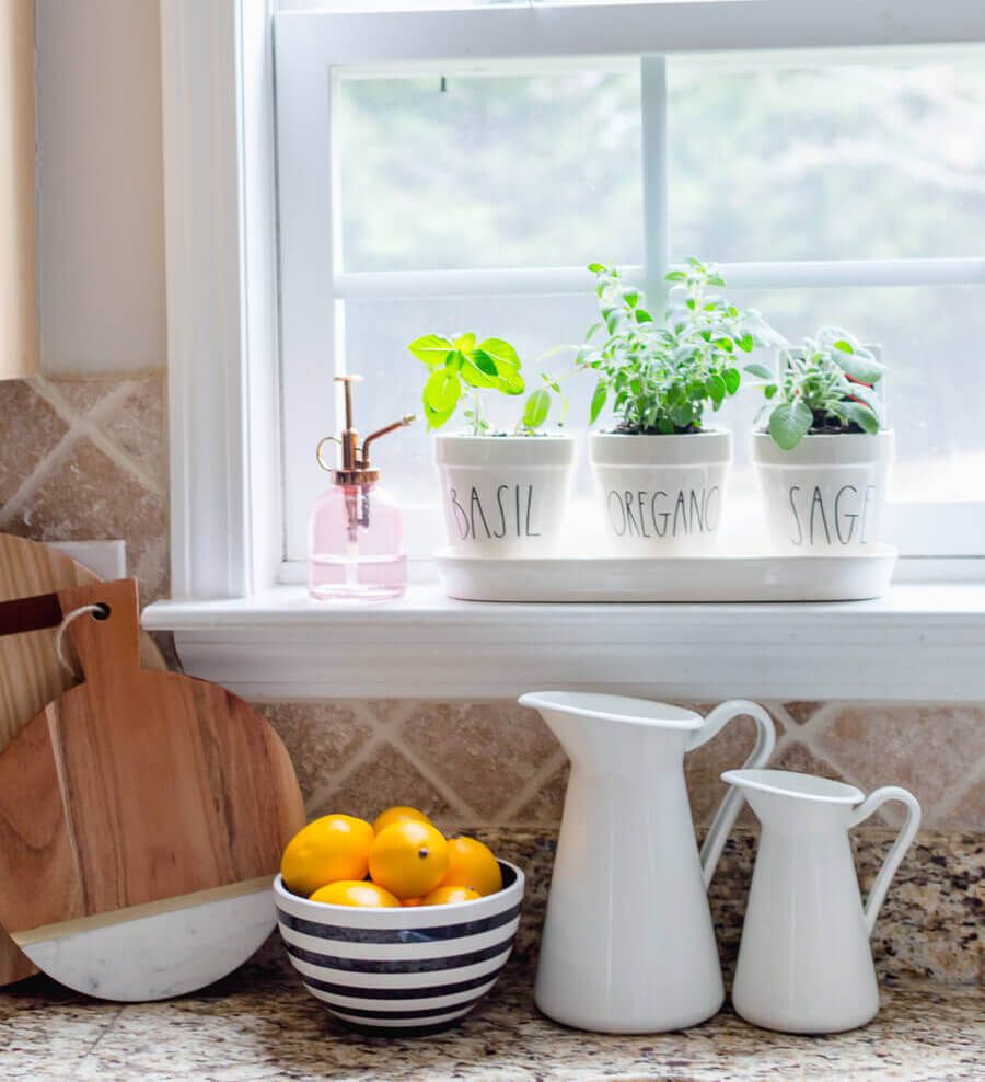 Ervas crescendo em vasos brancos no peitoril da janela da cozinha