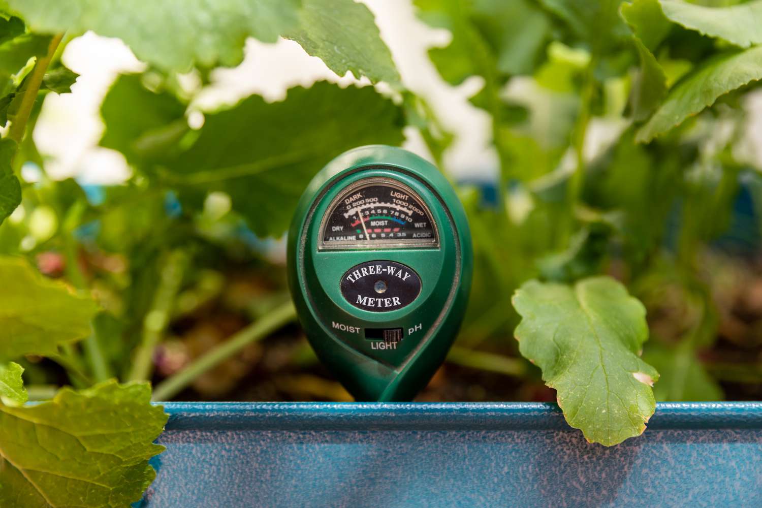 Medidor de kit de prueba de Ph en contenedor de plantas para prueba de suelo