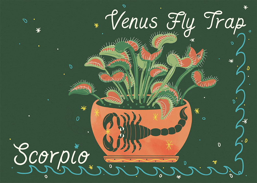 escorpio venus mosquero ilustración