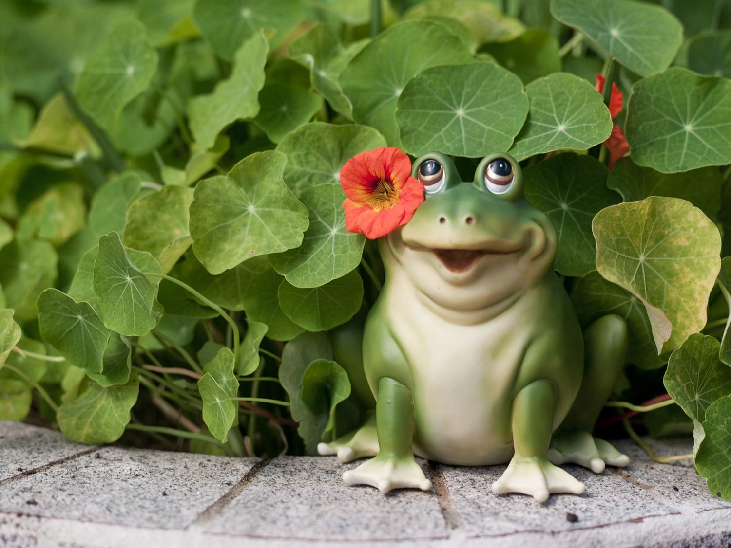 A Toad Figurine