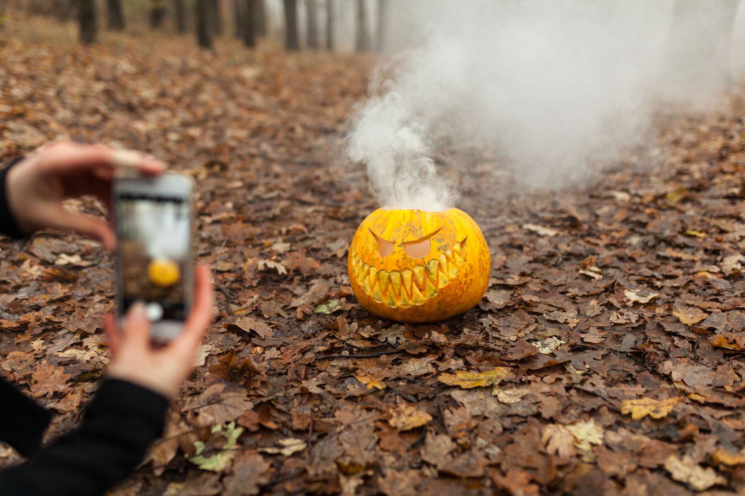 Person, die mit ihrem Smartphone ein Foto von einer Jack-O-Lantern macht