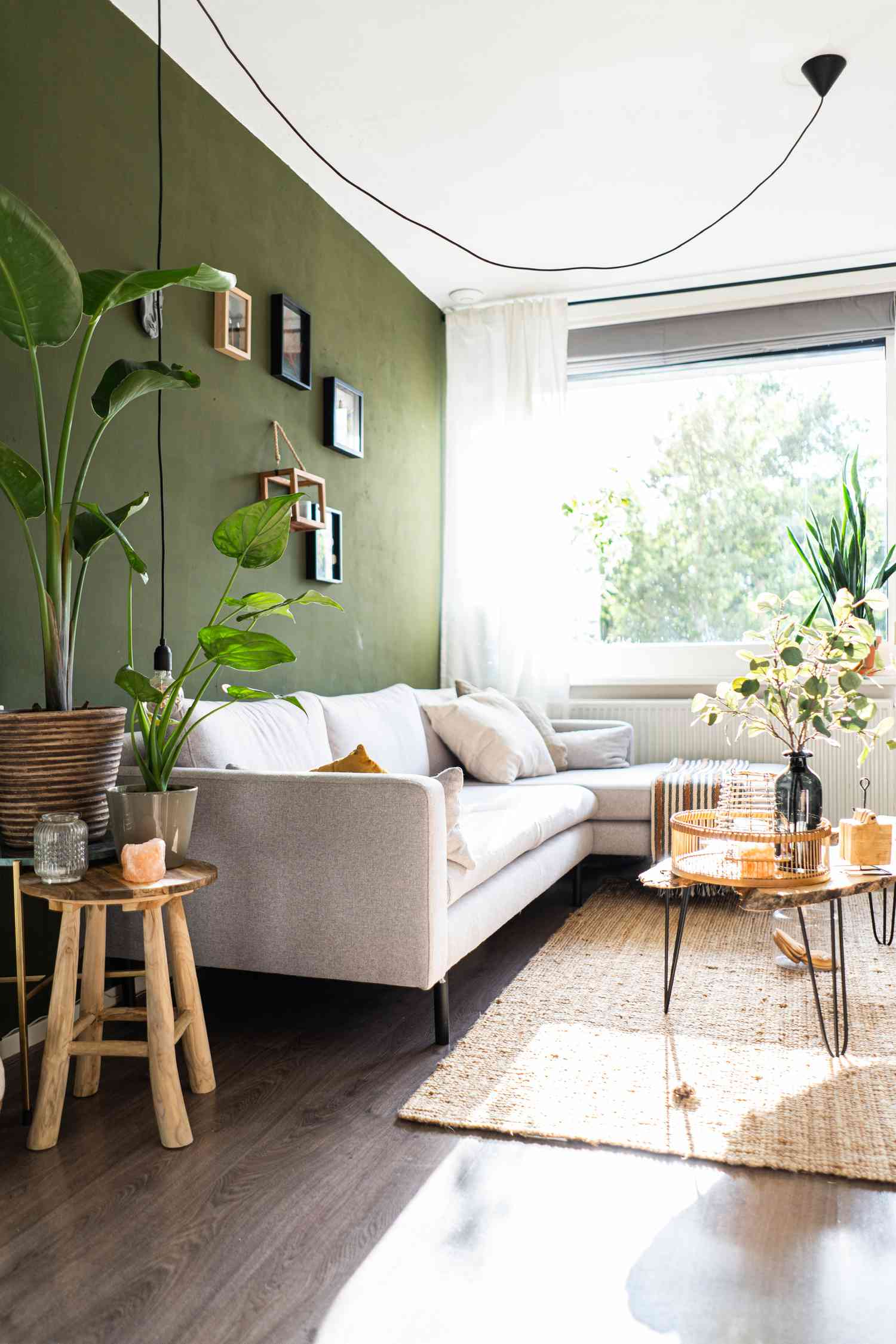 Wohnzimmer mit grüner Wand und Pflanzen