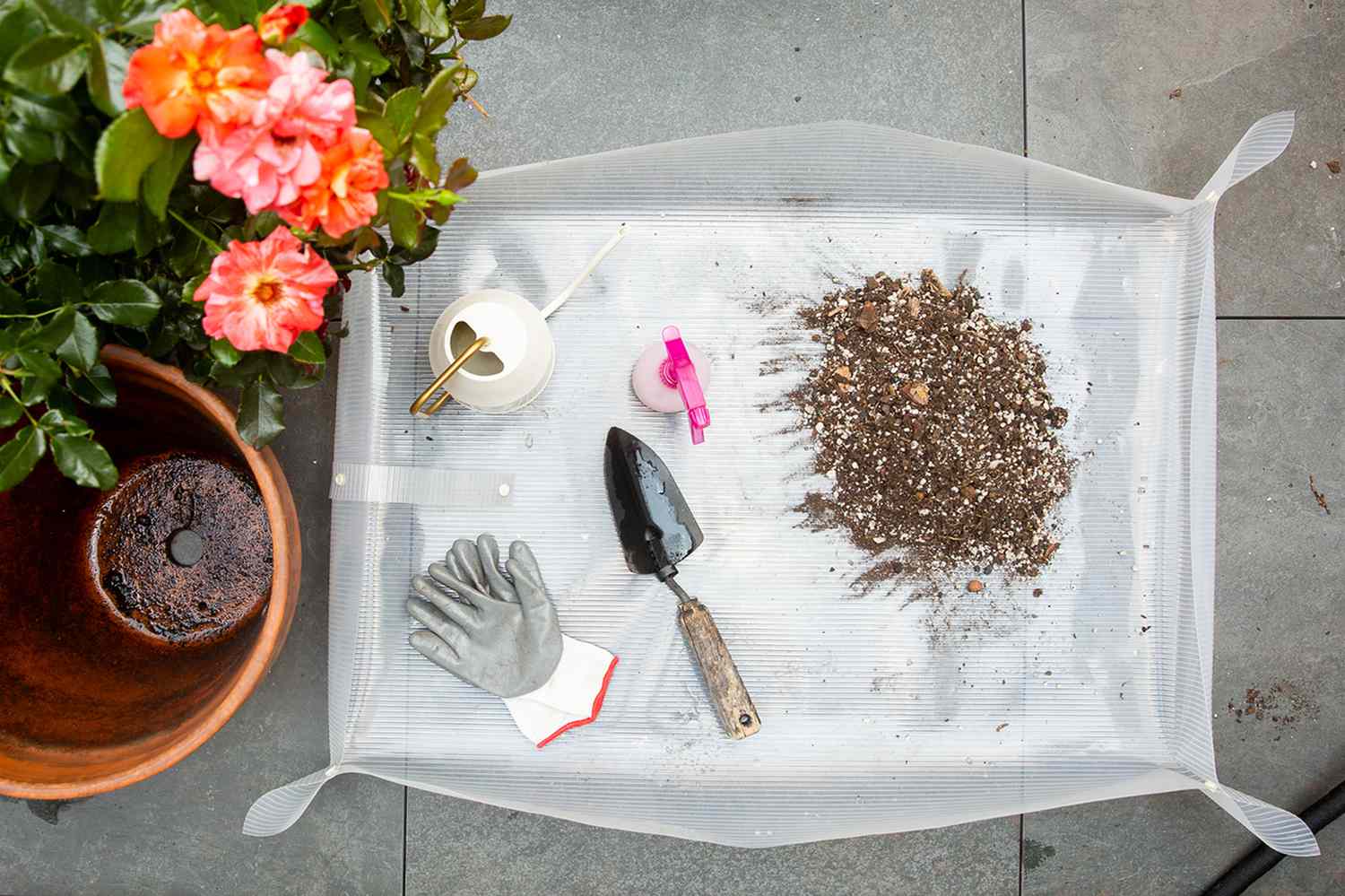 Materialien und Werkzeuge für den Anbau von Rosen in Töpfen