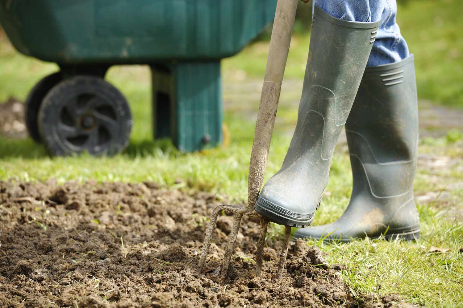 Nahaufnahme der Füße einer Person in Regenstiefeln, die mit einer Gartengabel in der Erde gräbt, mit einer Schubkarre im Hintergrund für chaotische Gartenarbeit