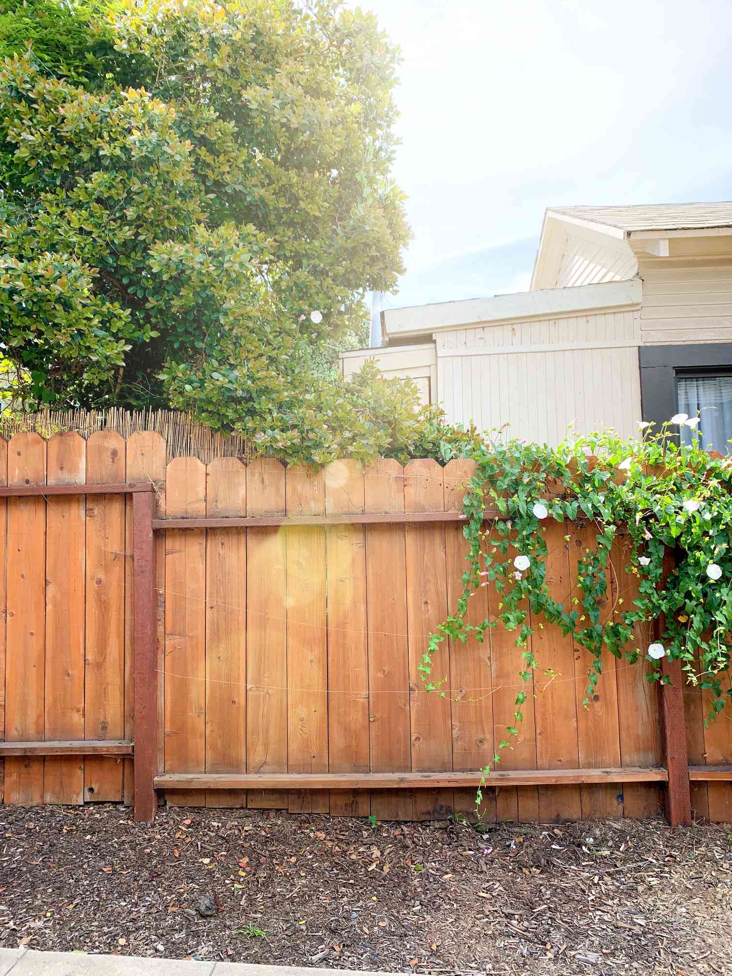 weatherproofed and stained fence