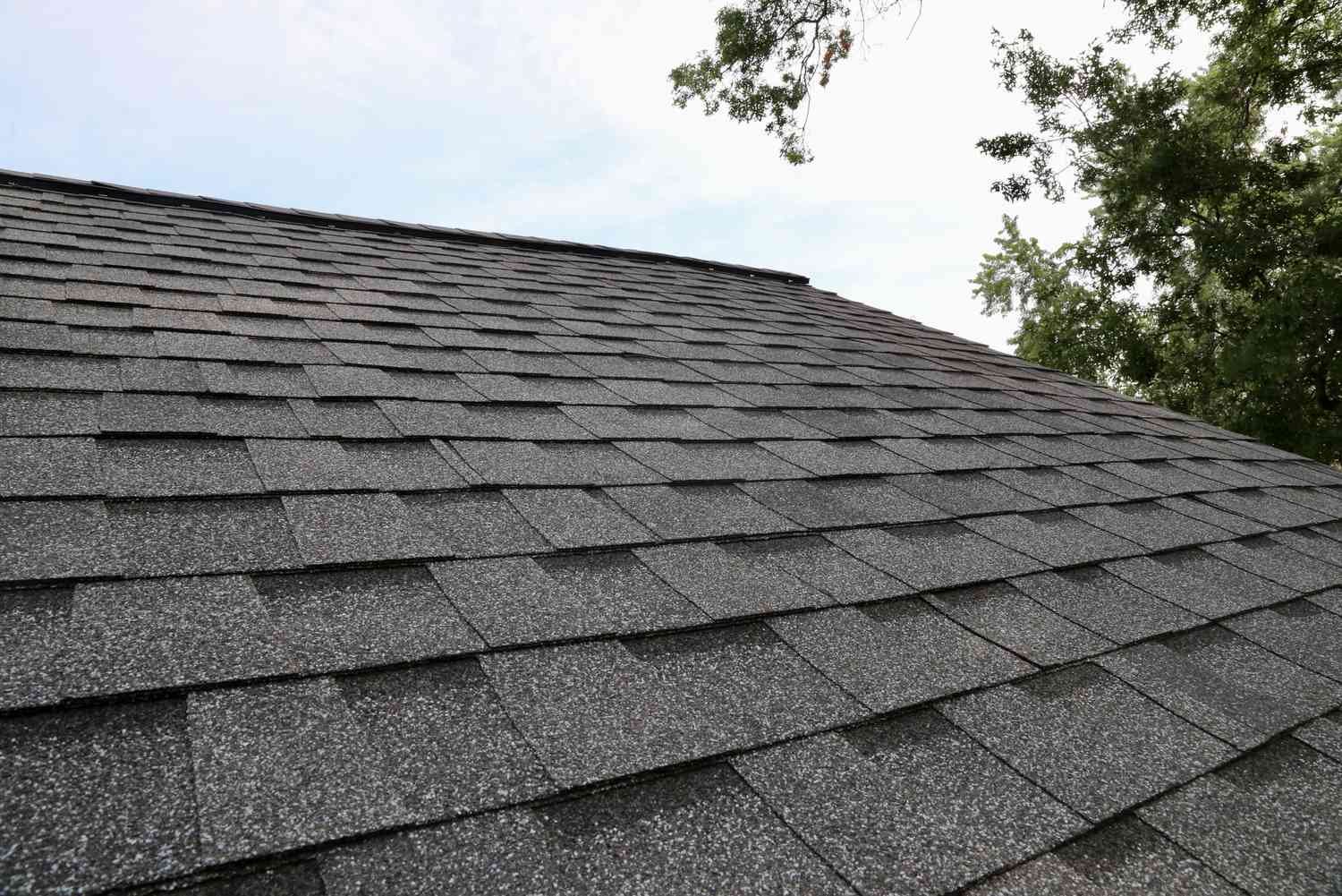 Clean shingle roof