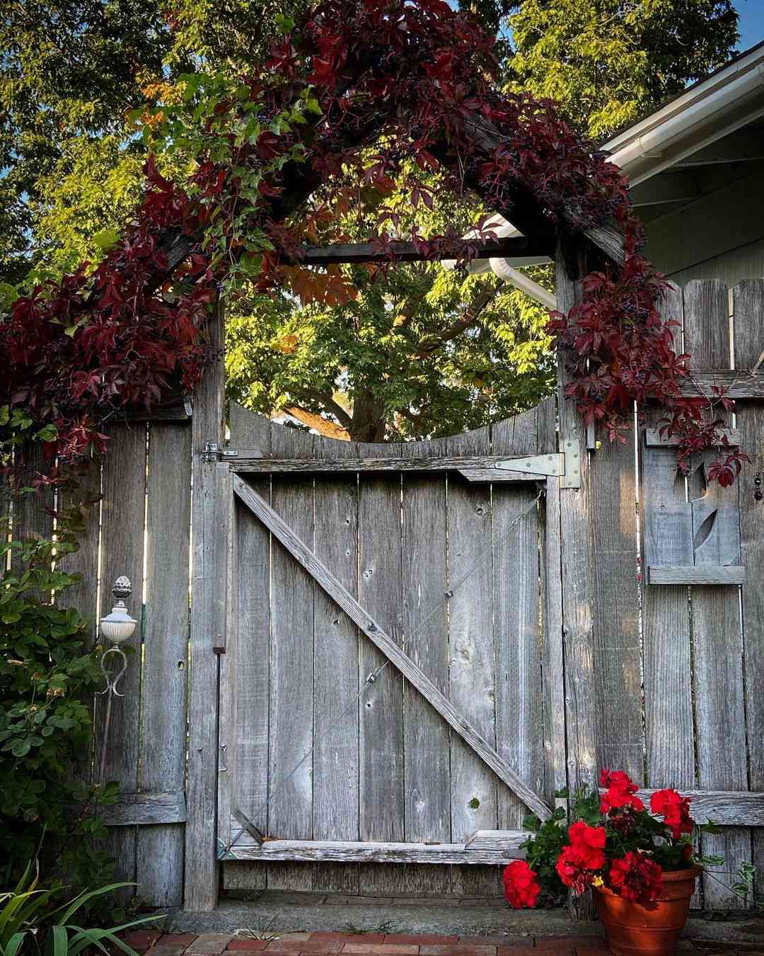 fence with vines