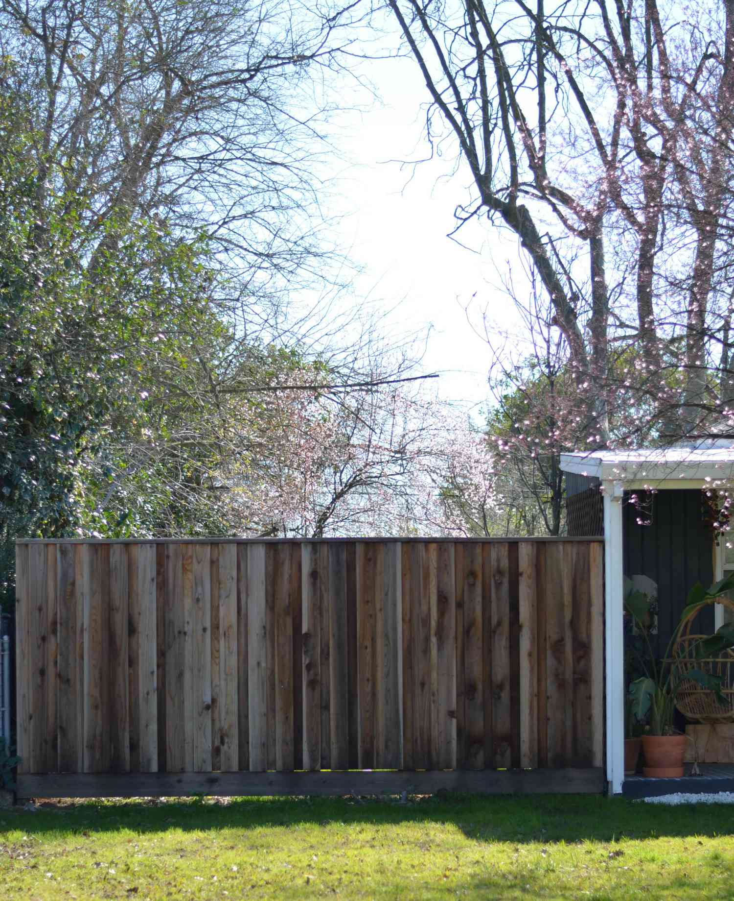 redwood fence