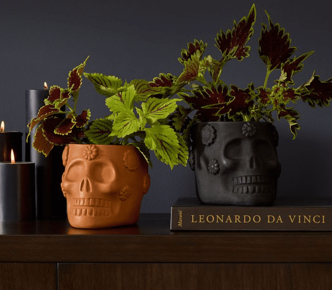 skull planters