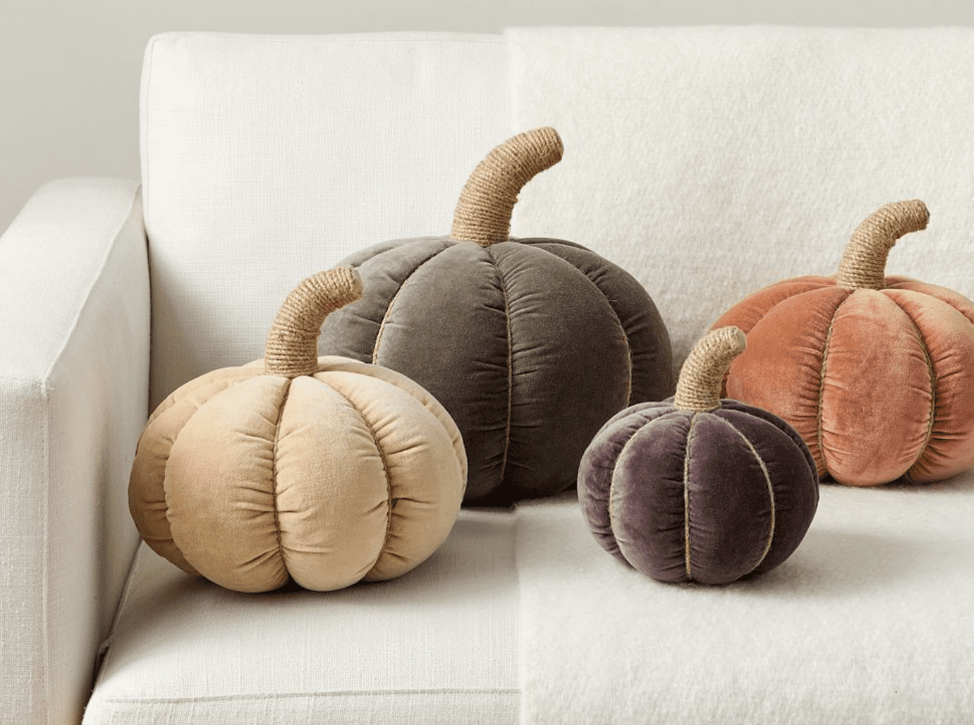 velvet pumpkin pillows
