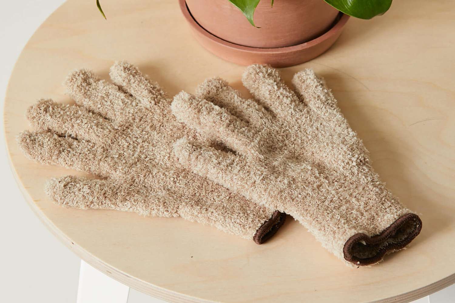 Bloomscape Microfiber Cleaning Gloves