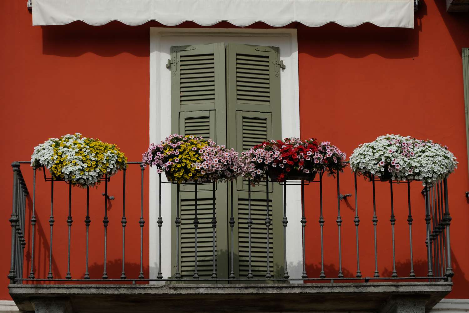 grüne Lamellenfensterläden auf Terrasse mit Blumen